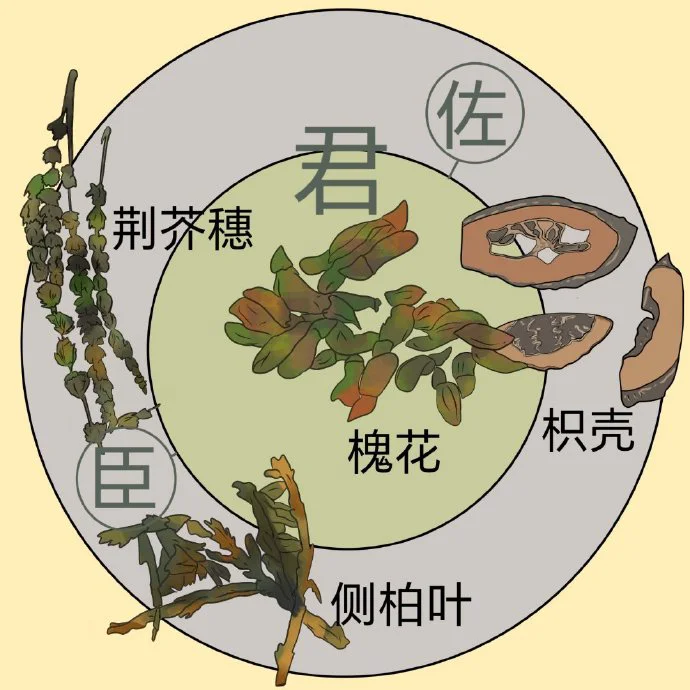 槐花散：槐花、侧柏叶、荆芥穗炒黑、枳壳