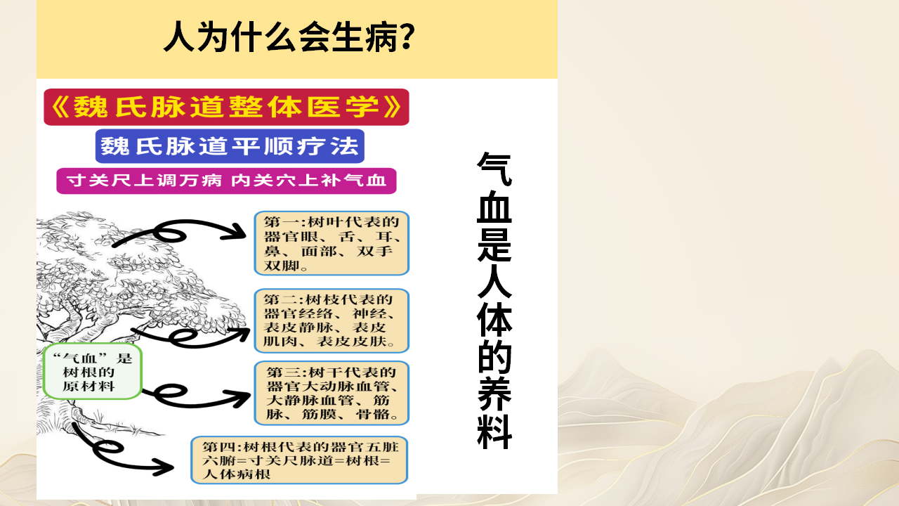 走进魏氏脉道气血一针通，解锁中医实用技艺，开启健康新篇