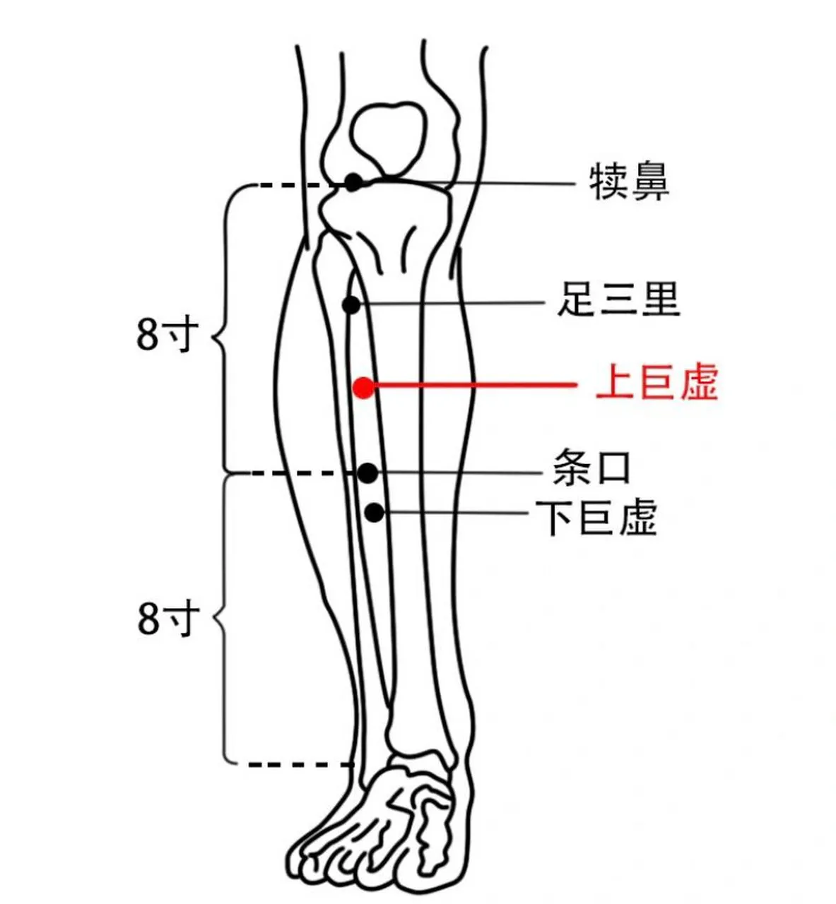 曲池 + 上巨虚