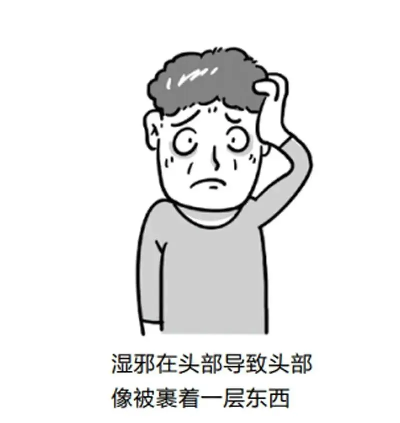 只有5味中药，从根上断绝湿气，还能治气虚和脾虚！