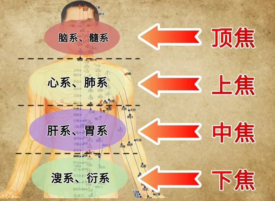 聊聊丁于洲博士的“丁氏中医全通论”与“全通汤”！