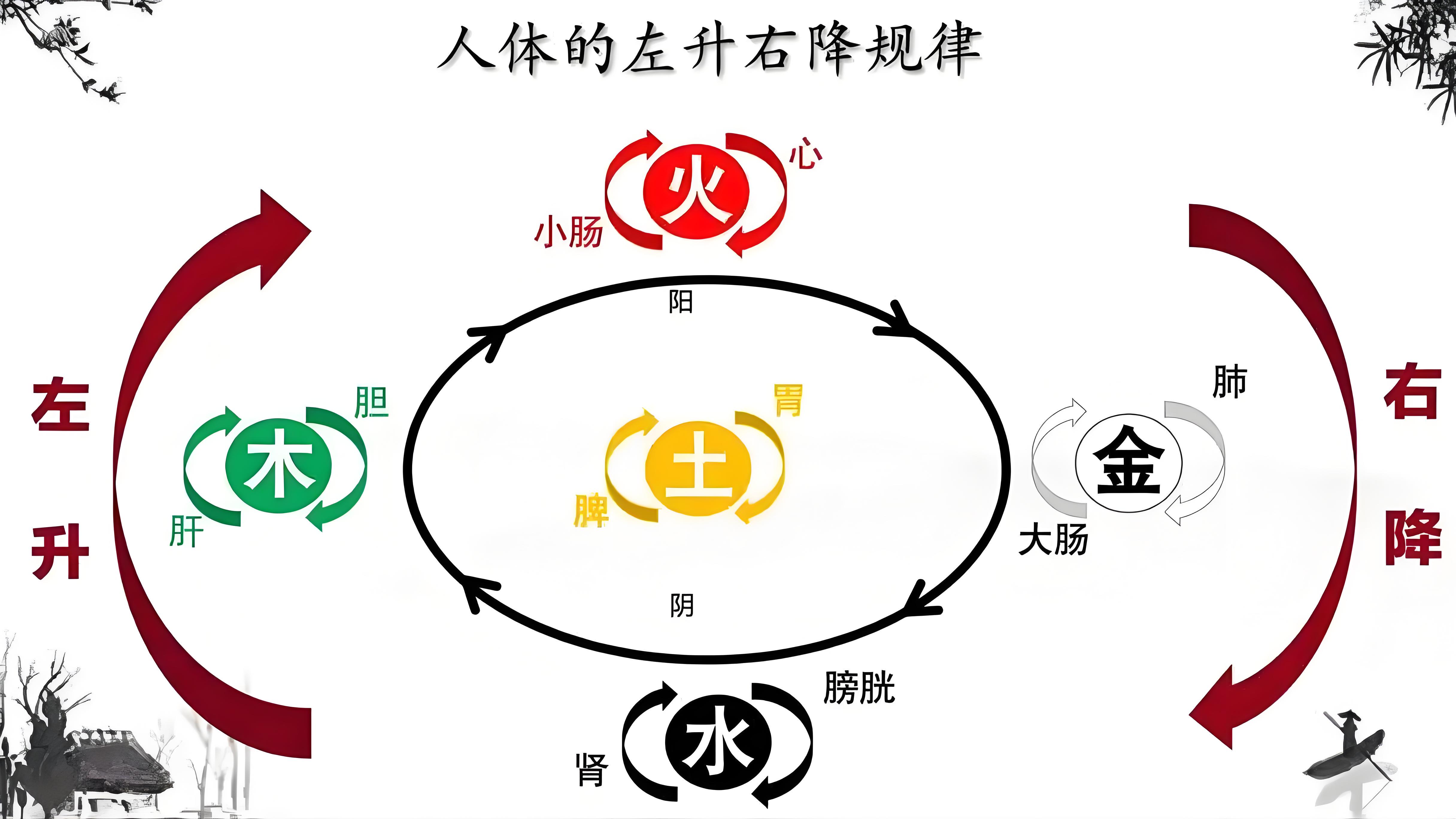 中域教育第 54 期金氏五行升降中医学术交流会（昆明站）开课啦！