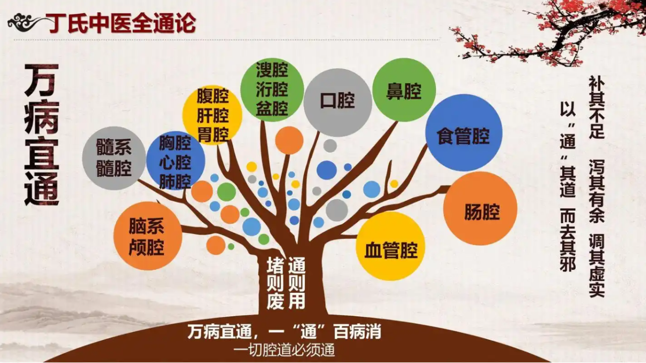 聊聊丁于洲博士的“丁氏中医全通论”与“全通汤”！
