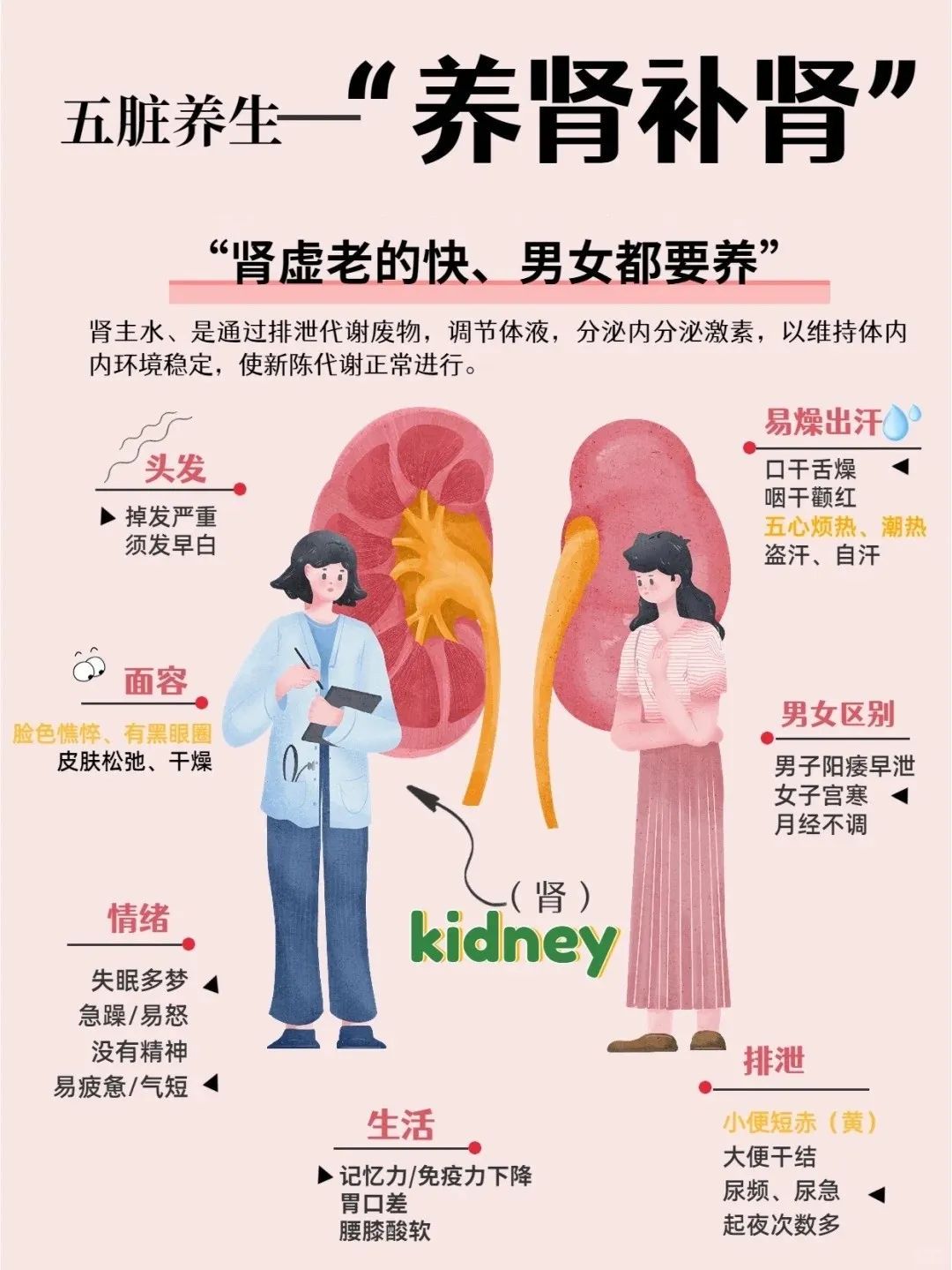 四大 “补肾”良品