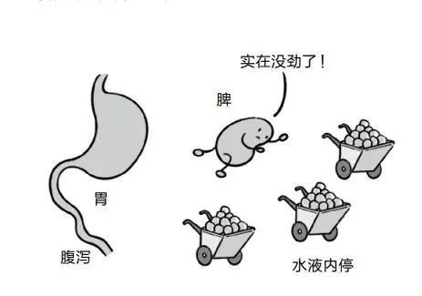 只有5味中药，从根上断绝湿气，还能治气虚和脾虚！