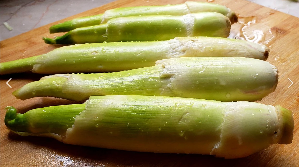 茭白