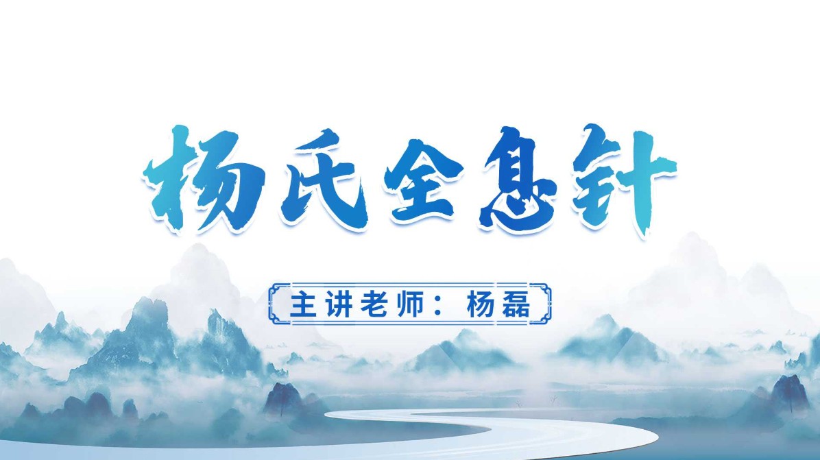 杨磊老师杨氏五行全息针课程讲义！