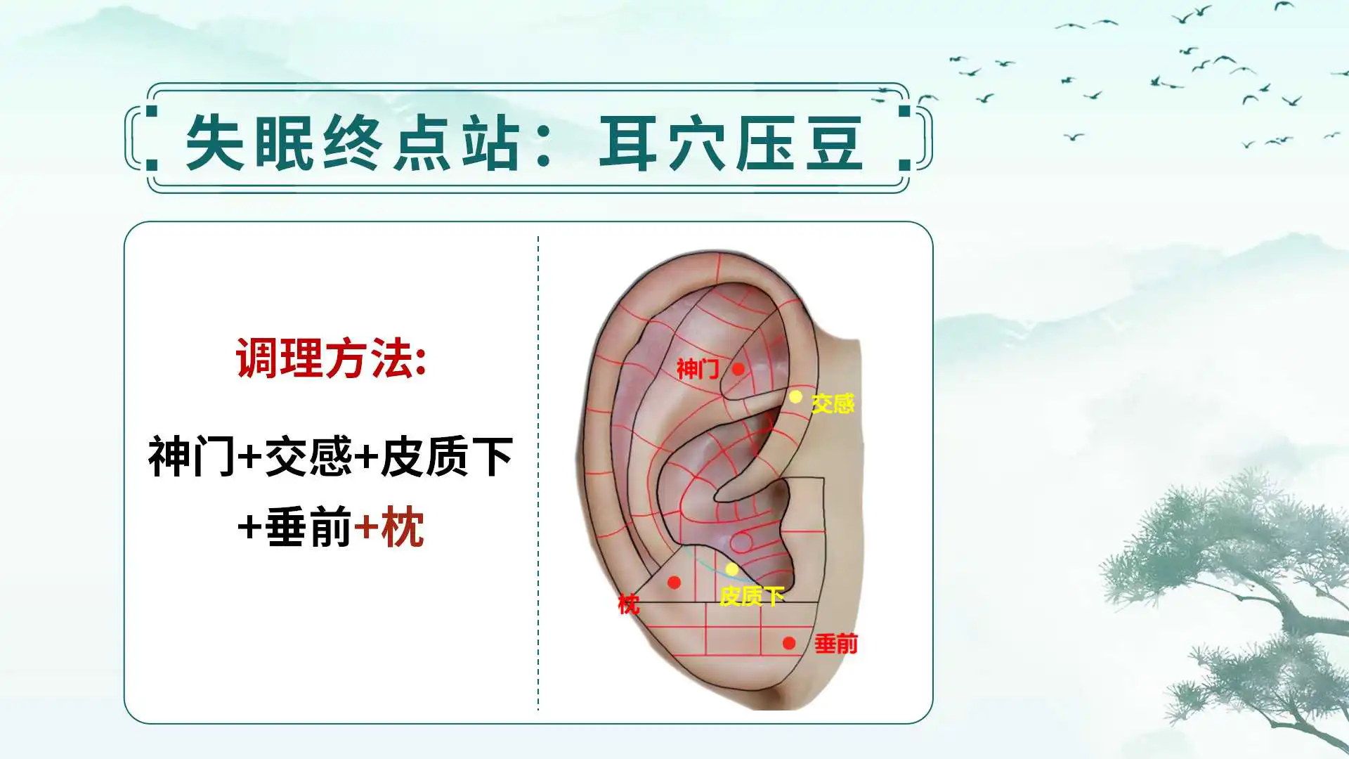 中易面诊线下课：零基础掌握中医面诊，从面部读懂健康与人生！