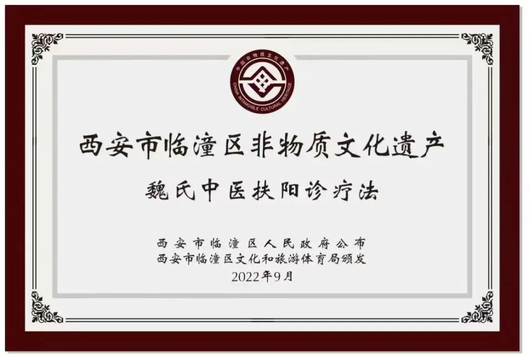 魏氏中医扶阳诊疗法